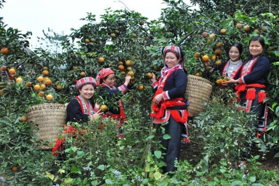 Bài 3: Tinh gọn bộ máy để phục vụ dân tốt hơn
